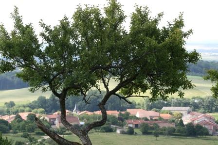 Maconcourt